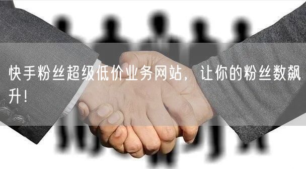快手粉丝超级低价业务网站，让你的粉丝数飙升！