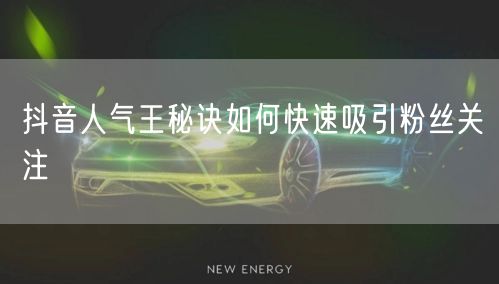 抖音人气王秘诀如何快速吸引粉丝关注