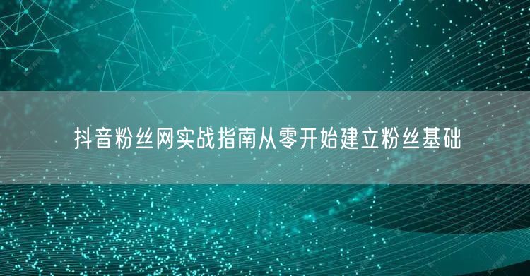 抖音粉丝网实战指南从零开始建立粉丝基础