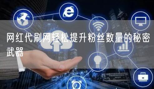 网红代刷网轻松提升粉丝数量的秘密武器